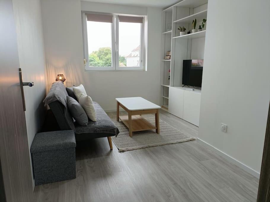 Appartement Entier F3 Renove - Petite Pause A Selestat Exterior photo
